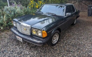 Mercedes-benz-300cd-1981-Forest-Green-Black-12