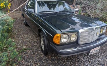 Mercedes-benz-300cd-1981-Forest-Green-Black-3