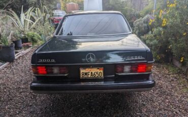 Mercedes-benz-300cd-1981-Forest-Green-Black-5
