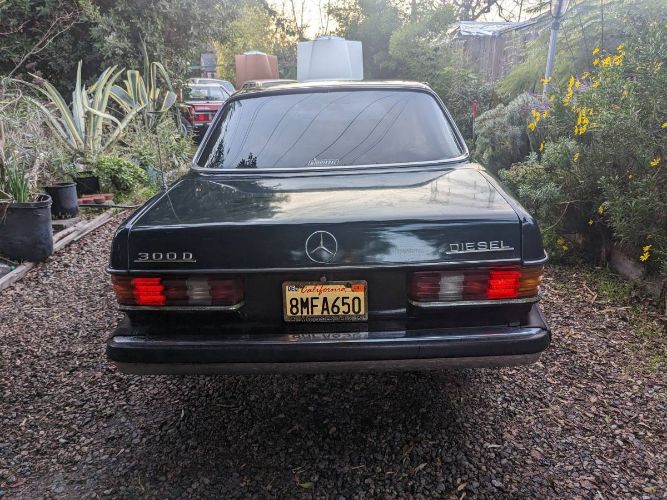 Mercedes-benz-300cd-1981-Forest-Green-Black-5
