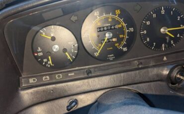 Mercedes-benz-300cd-1981-Forest-Green-Black-7
