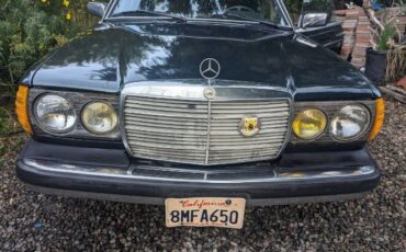 Mercedes-benz-300cd-1981-Forest-Green-Black-9