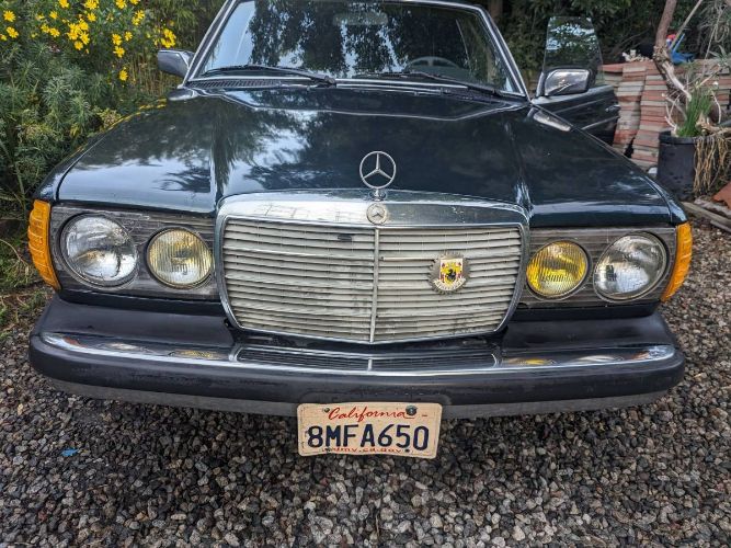 Mercedes-benz-300cd-1981-Forest-Green-Black-9