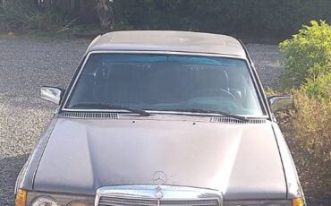 Mercedes-benz-300cd-1982-Gray-Black-1