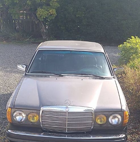 Mercedes-benz-300cd-1982-Gray-Black-1