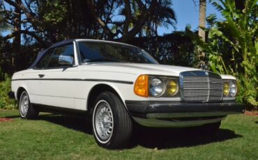 Mercedes-benz-300cd-1982-White-Blue-5