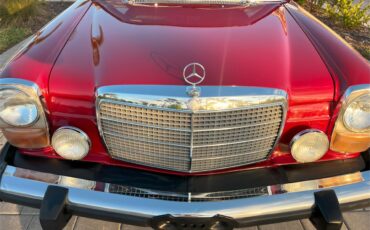 Mercedes-benz-300d-1976-Desert-Red-Palomino-Tan-1