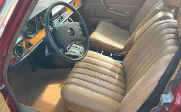 Mercedes-benz-300d-1976-Desert-Red-Palomino-Tan-13
