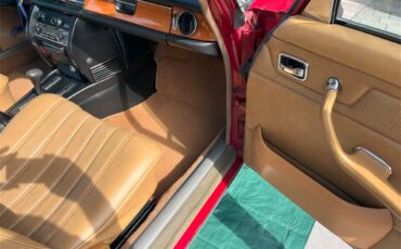 Mercedes-benz-300d-1976-Desert-Red-Palomino-Tan-15