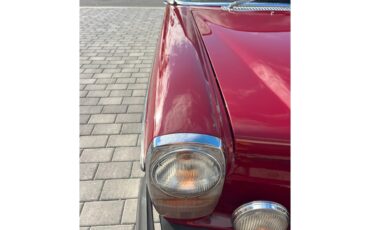 Mercedes-benz-300d-1976-Desert-Red-Palomino-Tan-2