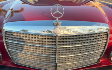 Mercedes-benz-300d-1976-Desert-Red-Palomino-Tan-3