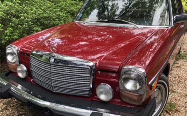 Mercedes-benz-300d-1976-Desert-Red-Palomino-Tan
