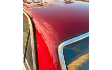 Mercedes-benz-300d-1976-Desert-Red-Palomino-Tan-5