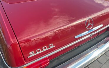 Mercedes-benz-300d-1976-Desert-Red-Palomino-Tan-6