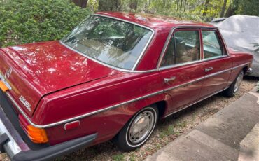 Mercedes-benz-300d-1976-Desert-Red-Palomino-Tan-8