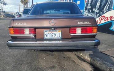 Mercedes-benz-300d-1980-Brown-3