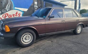 Mercedes-benz-300d-1980-Brown-6