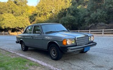 Mercedes-benz-300d-1983-Blue-13