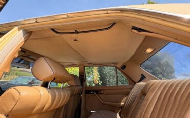 Mercedes-benz-300sd-1981-Yellow-7