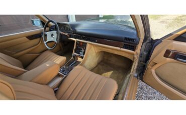 Mercedes-benz-300sd-1983-gray-Tan-14