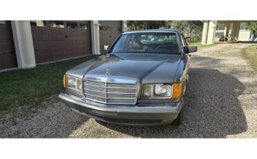 Mercedes-benz-300sd-1983-gray-Tan-23