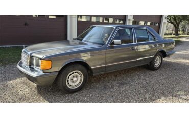 Mercedes-benz-300sd-1983-gray-Tan