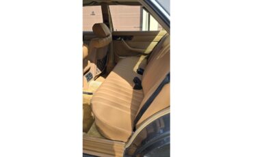 Mercedes-benz-300sd-1983-gray-Tan-9