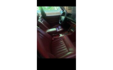 Mercedes-benz-300sdl-1987-Charcoal-Burgundy-10