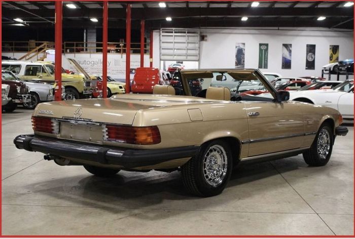 Mercedes-benz-300sl-1981-Champagne-Poly-Gold-10