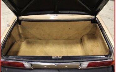 Mercedes-benz-300sl-1981-Champagne-Poly-Gold-3