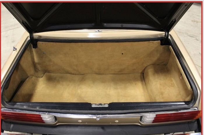 Mercedes-benz-300sl-1981-Champagne-Poly-Gold-3
