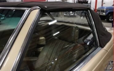 Mercedes-benz-300sl-1981-Champagne-Poly-Gold-4