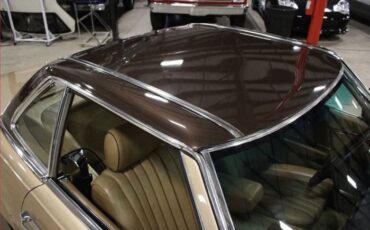 Mercedes-benz-300sl-1981-Champagne-Poly-Gold-6
