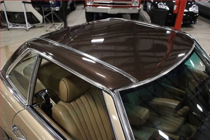 Mercedes-benz-300sl-1981-Champagne-Poly-Gold-6