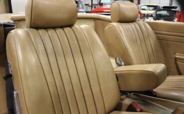 Mercedes-benz-300sl-1981-Champagne-Poly-Gold-8