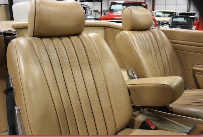 Mercedes-benz-300sl-1981-Champagne-Poly-Gold-8