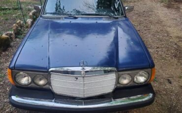 Mercedes-benz-300td-1980-5