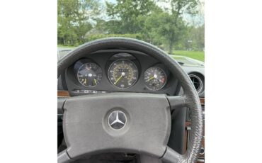 Mercedes-benz-350sl-1980-SILVER-BLACK-6
