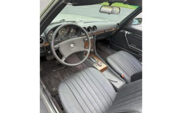 Mercedes-benz-350sl-1980-SILVER-BLACK-7