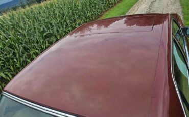 Mercedes-benz-380se-1984-Burgundy-Tan-10