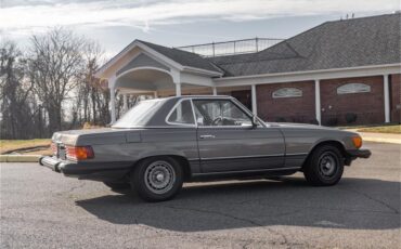 Mercedes-benz-380sl-1985-Gray-Gray-Blue-19
