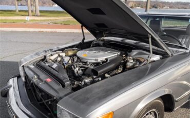 Mercedes-benz-380sl-1985-Gray-Gray-Blue-57
