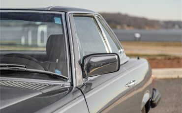Mercedes-benz-380sl-1985-Gray-Gray-Blue-59