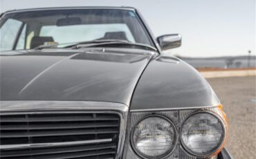 Mercedes-benz-380sl-1985-Gray-Gray-Blue-61