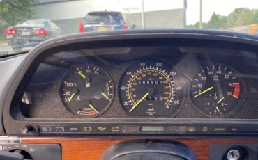 Mercedes-benz-420-420sel-1986-grey-16