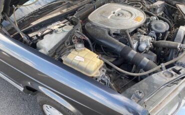 Mercedes-benz-420-420sel-1986-grey-17