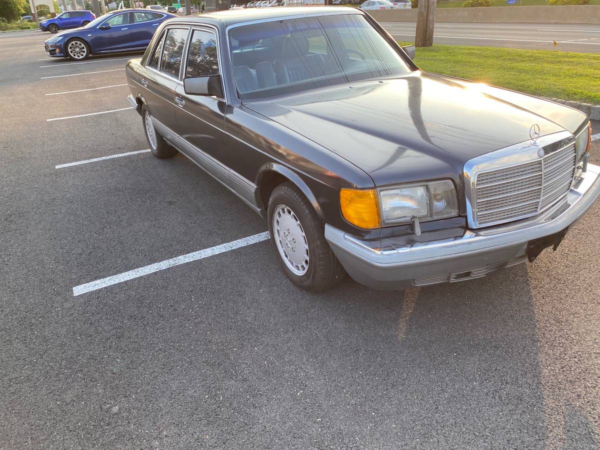 Mercedes-benz-420-420sel-1986-grey-19