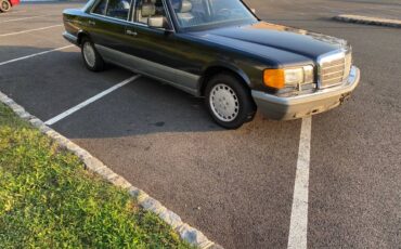 Mercedes-benz-420-420sel-1986-grey-21