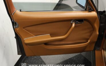 Mercedes-benz-450sel-1979-Dark-Gray-Metallic-Saddle-Tan-41