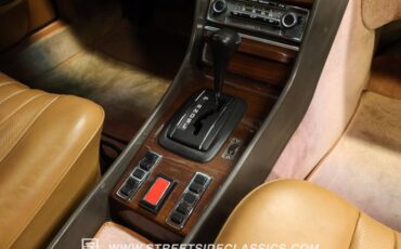 Mercedes-benz-450sel-1979-Dark-Gray-Metallic-Saddle-Tan-47